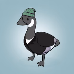 Honk #3885