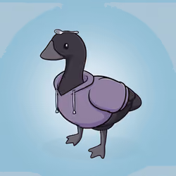 Honk #1793