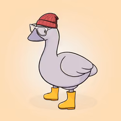 Honk #4494