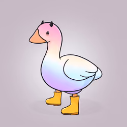 Honk #4456