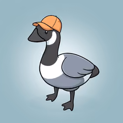 Honk #3897