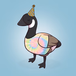 Honk #2849