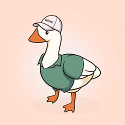 Honk #281