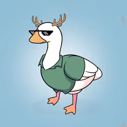 Honk #1951