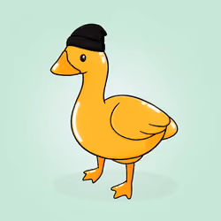 Honk #4898