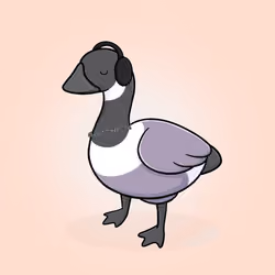 Honk #3734