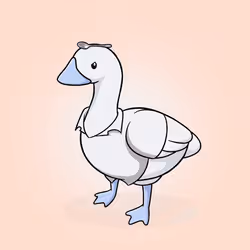 4636