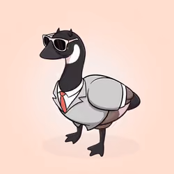 Honk #79