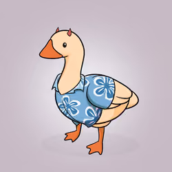Honk #3351