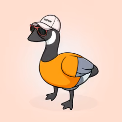 Honk #3317