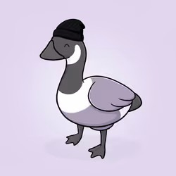 Honk #751