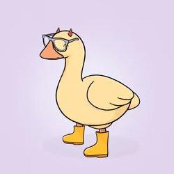 Honk #4862