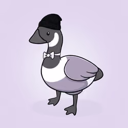 Honk #2354