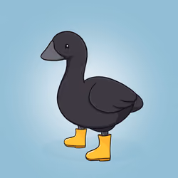 Honk #3584