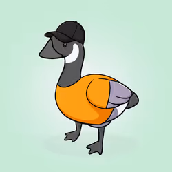 Honk #3582