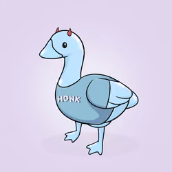 Honk #4099