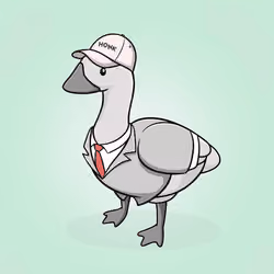 Honk #2578