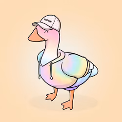 Honk #2901