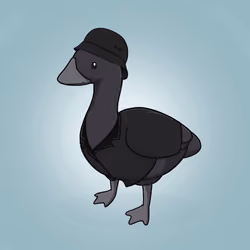 Honk #2644