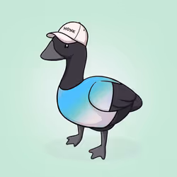 Honk #2779