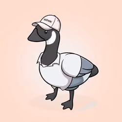 Honk #150