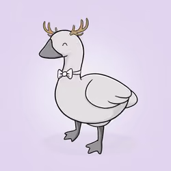 Honk #2473