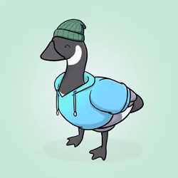 Honk #2525
