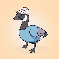 Honk #3600