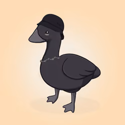 Honk #2653
