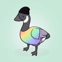 Honk #2351