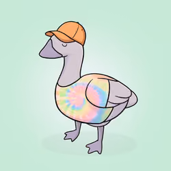 Honk #3299