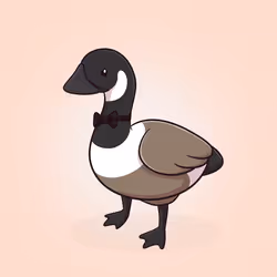 Honk #2997