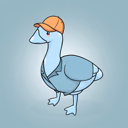 Honk #1269