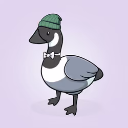 Honk #5428