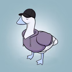 Honk #1193