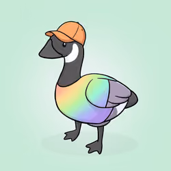 Honk #3599