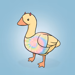 Honk #2342