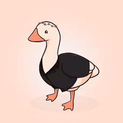 Honk #2321