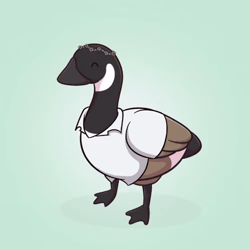 Honk #467