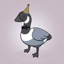 Honk #2954