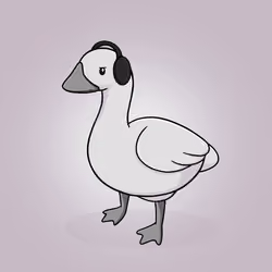 Honk #2260