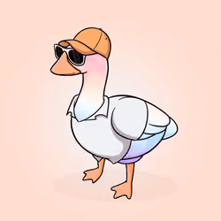 Honk #2514
