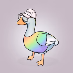 Honk #1790