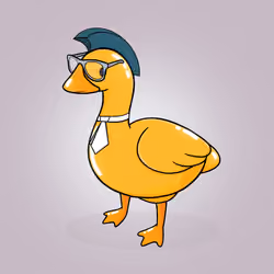 Honk #330