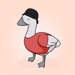 Honk #4833