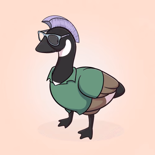 Honk #4797