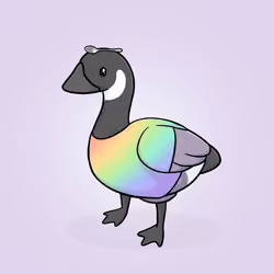 Honk #3229