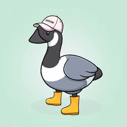 Honk #4851