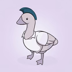 Honk #2796