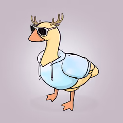 Honk #5163